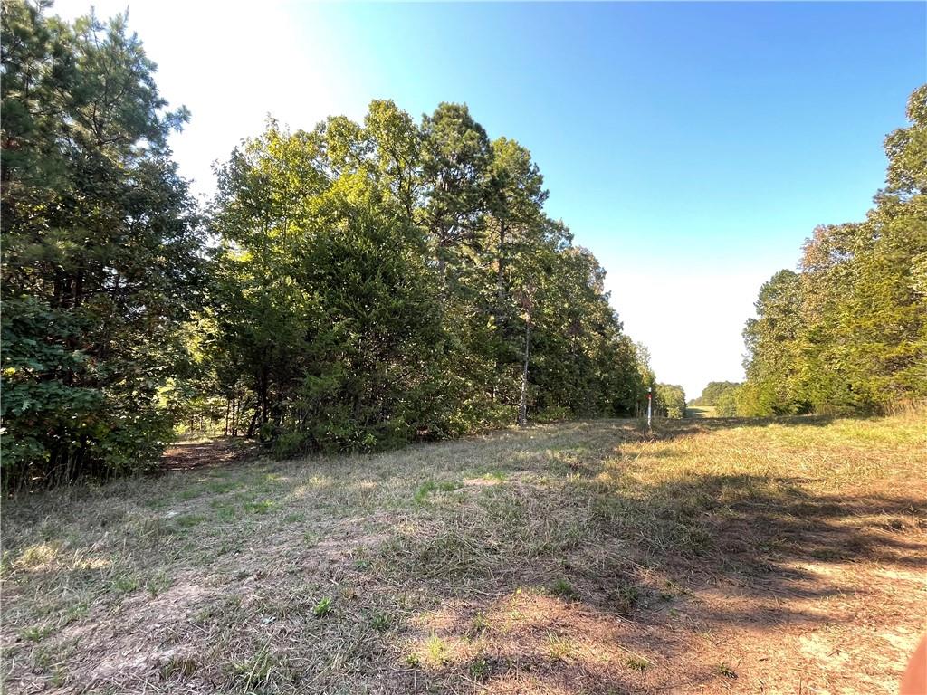 This is a secluded 5 acre tract of wooded land just off of Augsburg Road, ready for recreational use. On the attached survey image, it is detailed as Tract 2, 5.00 AC +/-.