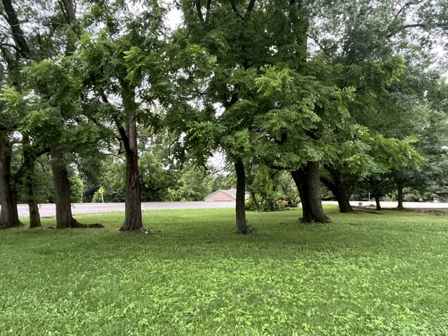 Corner lot, 1/3-acre m/l in well-established residential neighborhood.  Level lot, mature hardwoods, close to park, schools and shopping.  
Please refer to MLS #1347769 for detailed information regarding the residence and 1.3-acre tract.