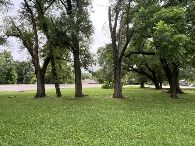 Pea Ridge - Land