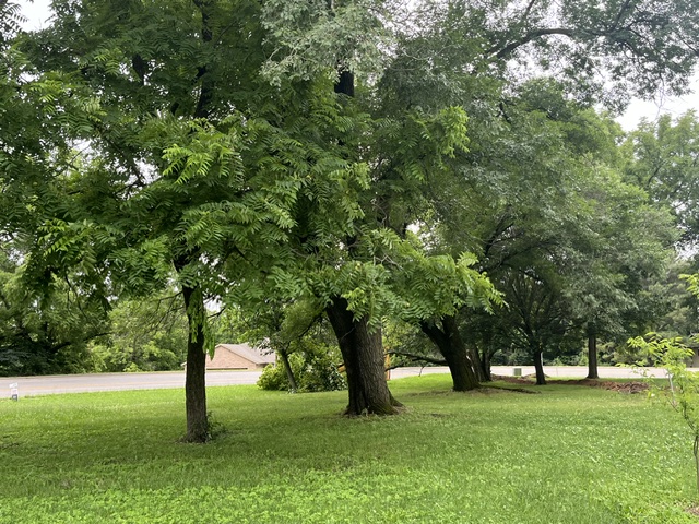 Pea Ridge - Land