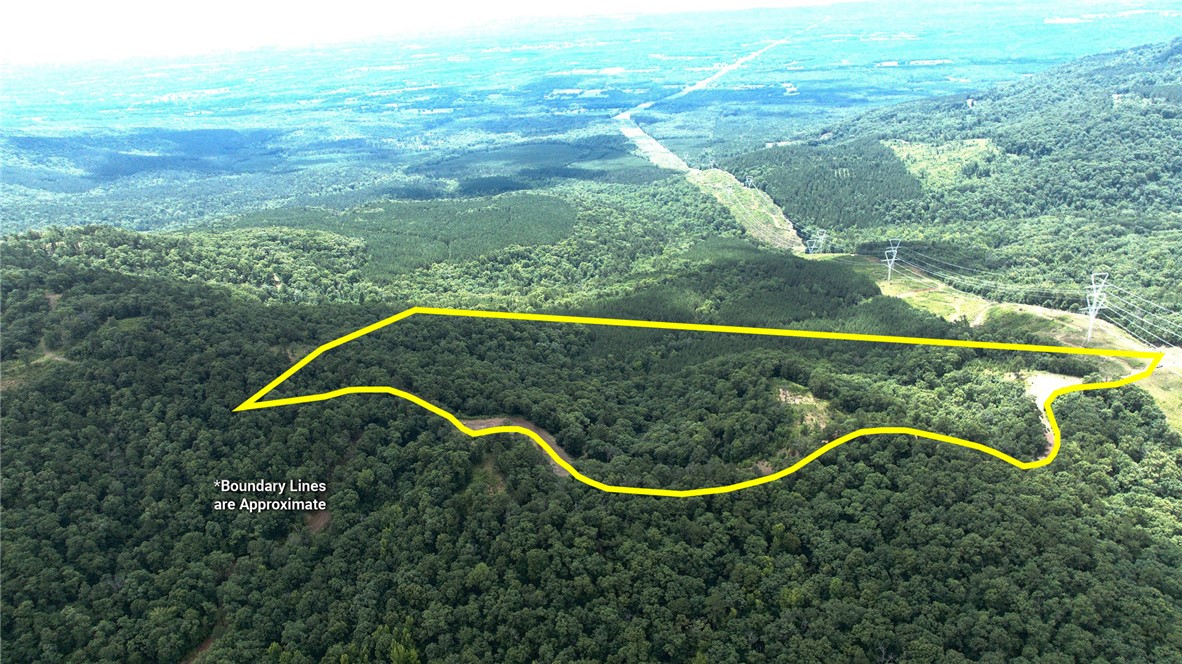Tater Mountain West is a 30 acre mountaintop tract featuring three graded, build-ready homesites with panoramic views of Mount Nebo, Lake Dardanelle, Spring Mountain, the Arkansas River Valley, and the Ouachita Mountains. 
Years of site preparation have already been completed, allowing the next owner to begin building immediately while preserving the surrounding mature hardwood forest. The property is approximately 86% hardwood timber and includes a rare Indian Trail Marker tree beside one of the homesites. 
Located just over one mile from Mount Nebo State Park and approximately one mile from John Harris Field Airport, the tract offers an ideal setting for a primary residence, vacation home, or mountain retreat. 
Electricity is available nearby, access is provided by a privately maintained shale/gravel road, and a community well will be needed. A new survey will also be needed and the seller has agreed to split the cost.
Additional adjoining tracts are also available.