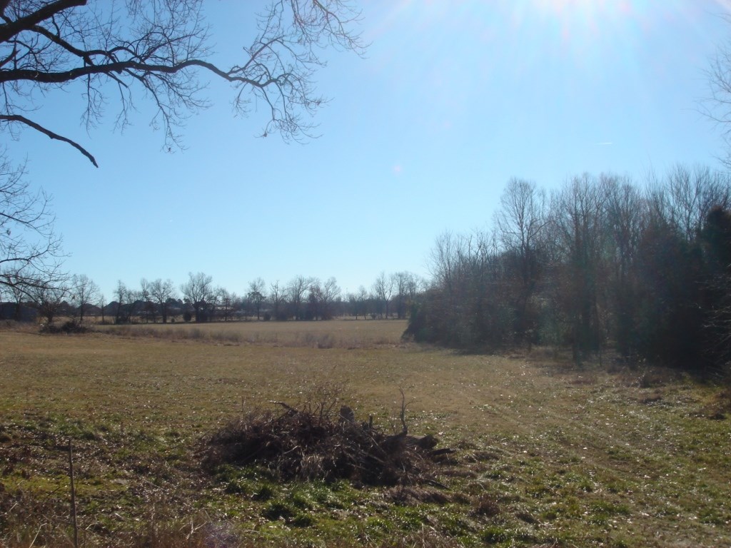 Elm Spgs Outlots - Land