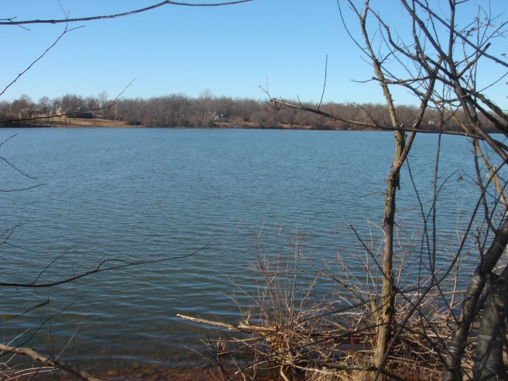 Elm Spgs Outlots - Land