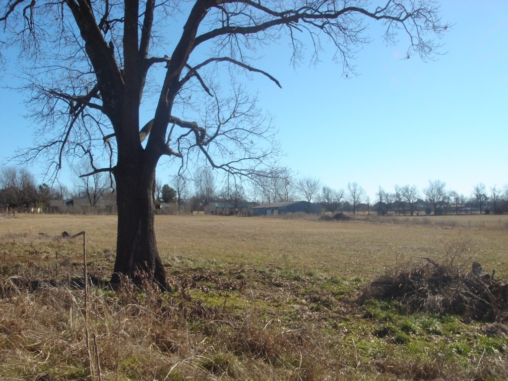 Elm Spgs Outlots - Land