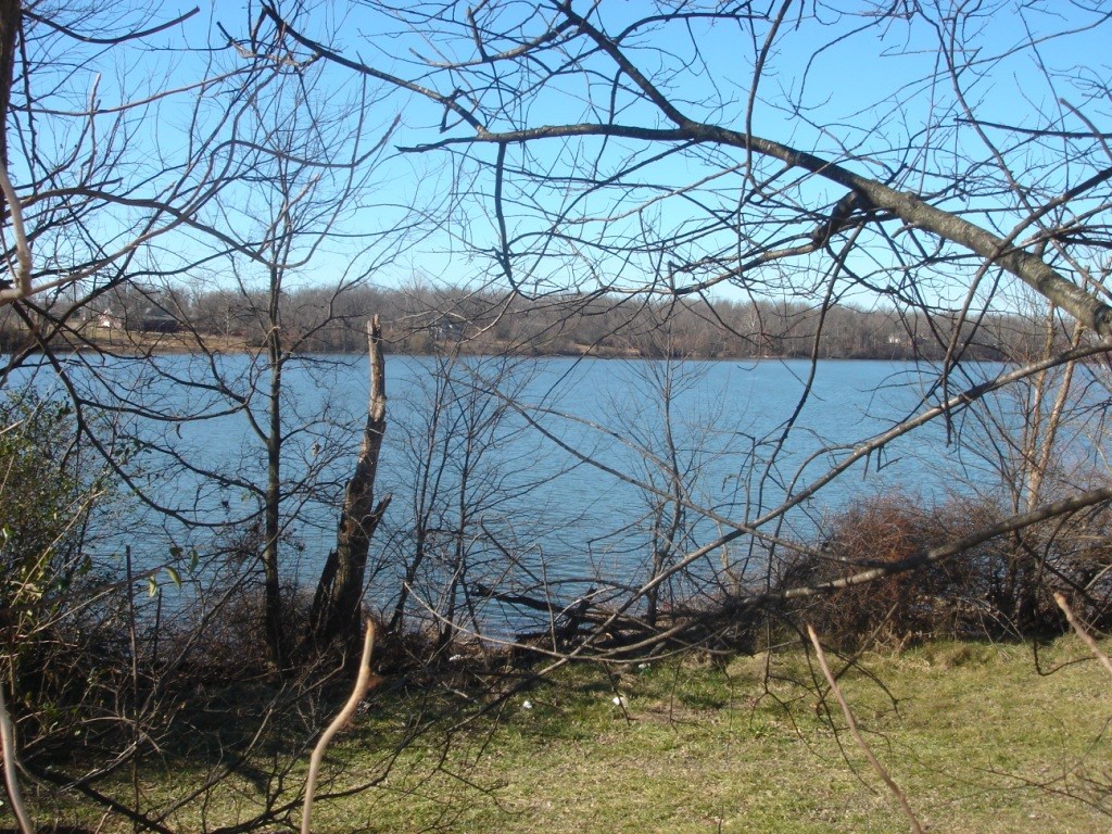 Elm Spgs Outlots - Land