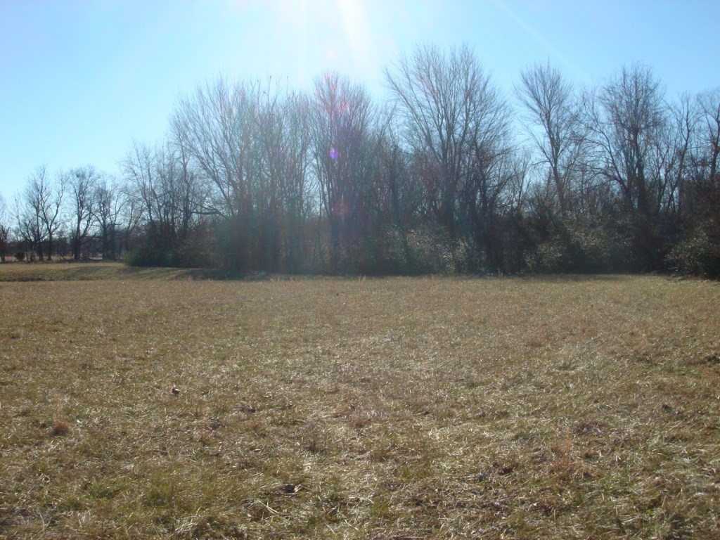 Elm Spgs Outlots - Land