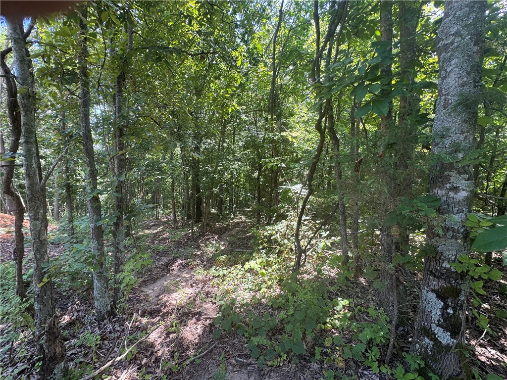 Posy Mountain Ranch Unit 6 Rurban - Land