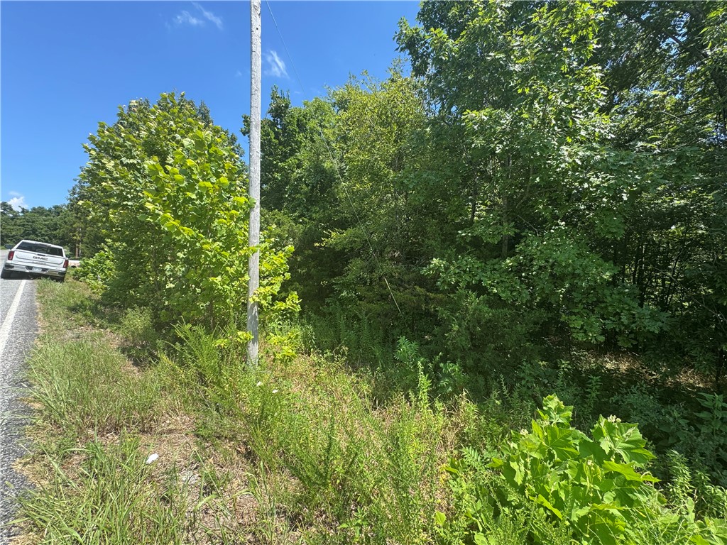 Posy Mountain Ranch Unit 6 Rurban - Land