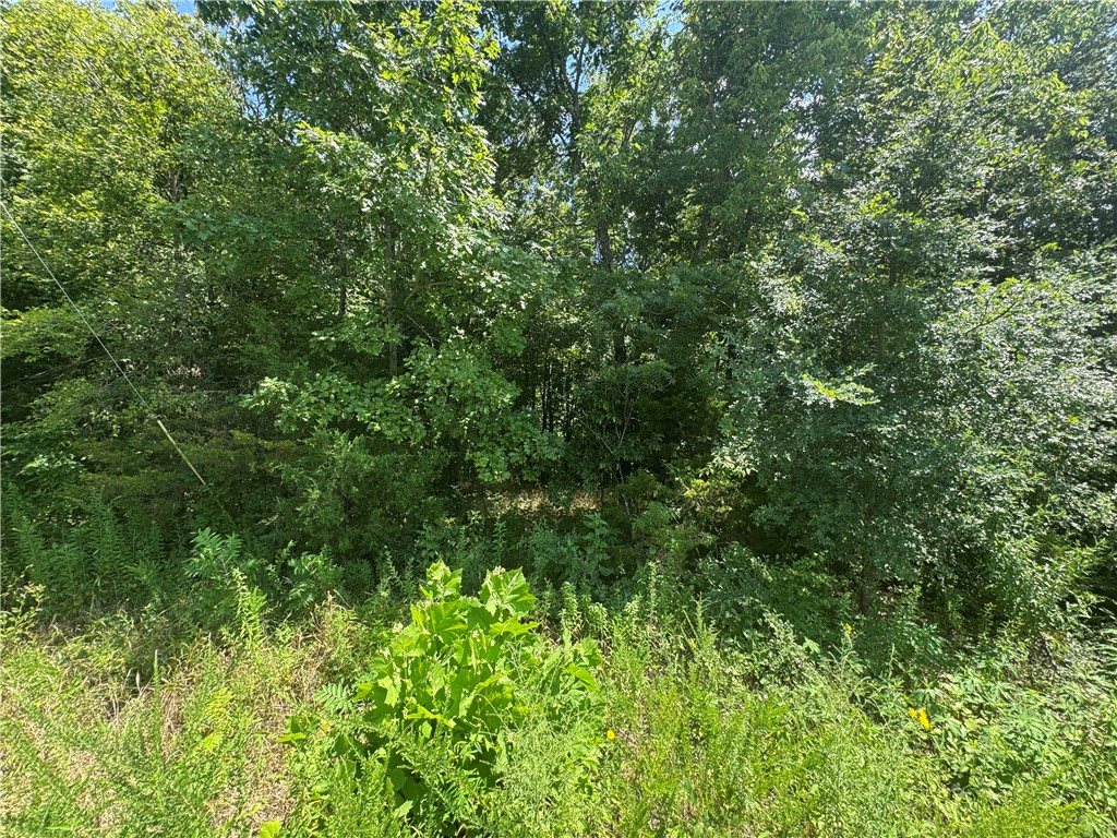 Posy Mountain Ranch Unit 6 Rurban - Land