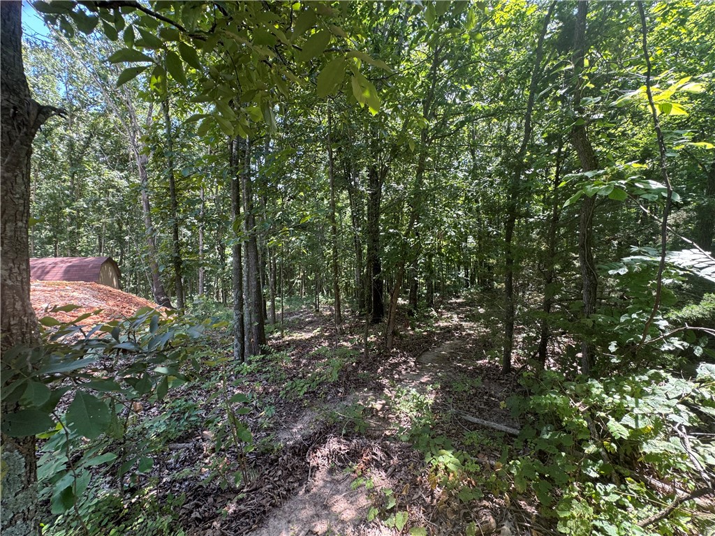 Posy Mountain Ranch Unit 6 Rurban - Land