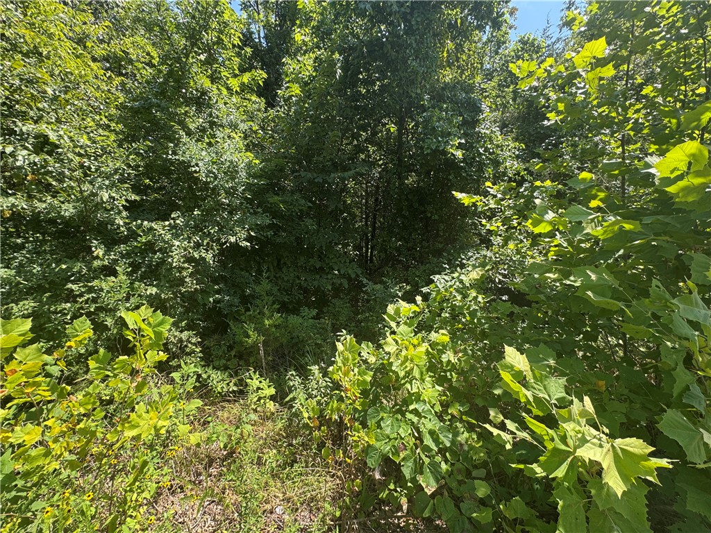 Posy Mountain Ranch Unit 6 Rurban - Land