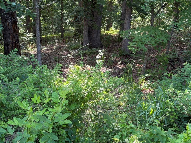 Beautiful building lot. Only 20-25 min from Walmart home office or downtown Bentonville. Bella Vista property owners have access to all amenities, including lakes, shooting range, recreation hall, ect... Has perc test.