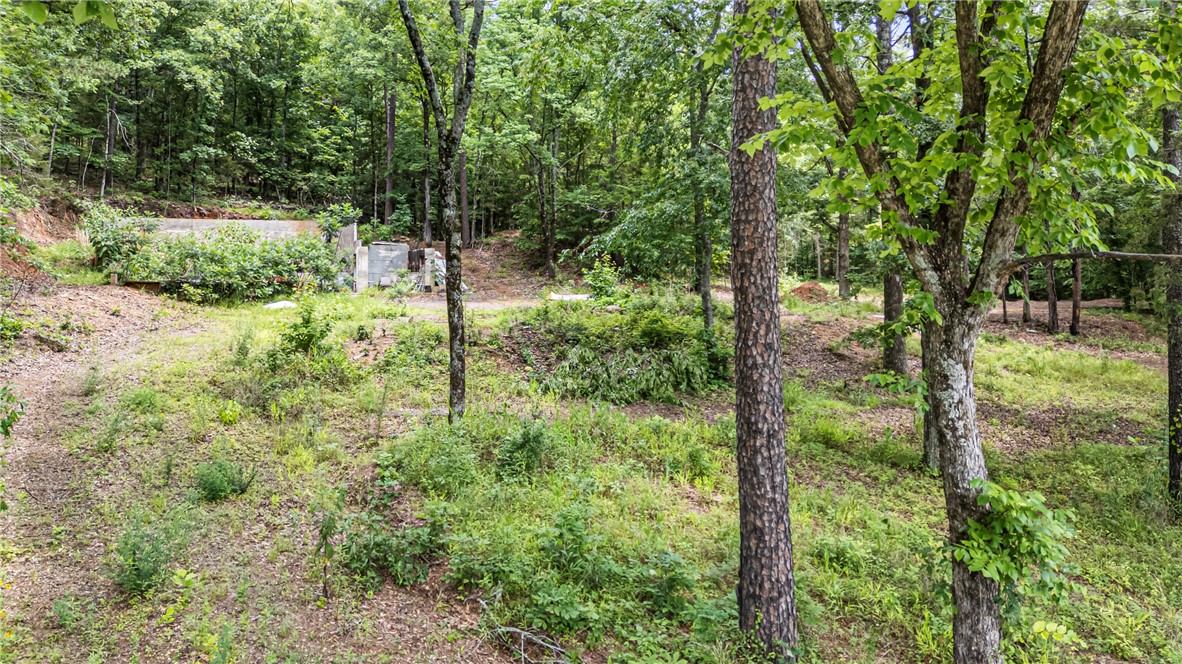 Nestled in a peaceful country setting, this 4.63-acre property offers plenty of potential. The land has already been surveyed and successfully perc tested, making it a great homesite. A concrete foundation from a previous residence remains on the property, along with a level, cleared area ready for new construction.

Enjoy the privacy of a wooded setting with open spaces and abundant wildlife. Water and electricity are available at the road, and with no known restrictions, you have the freedom to build the home, cabin, or retreat you’ve been dreaming of.