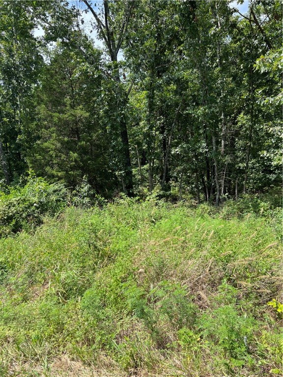 Great size lot on a happening street for building your dream home in beautiful Bella Vista!!