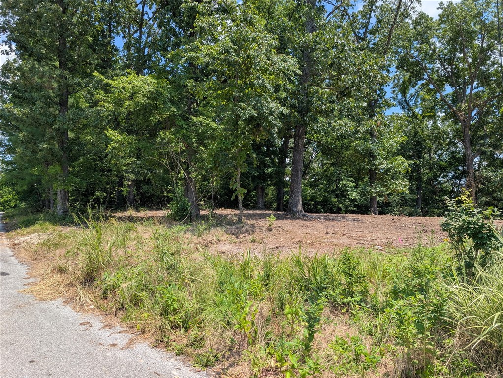Rush Estates - Land