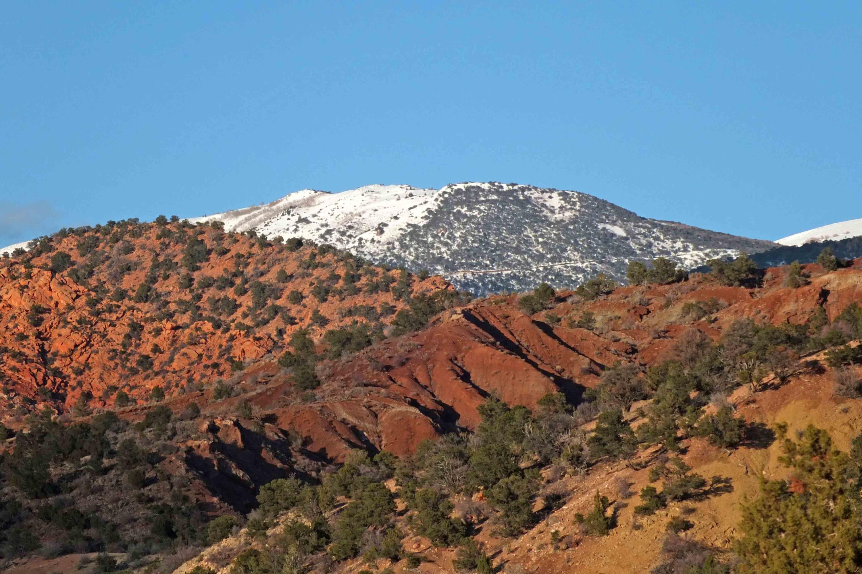 TRAILSIDE - Residential