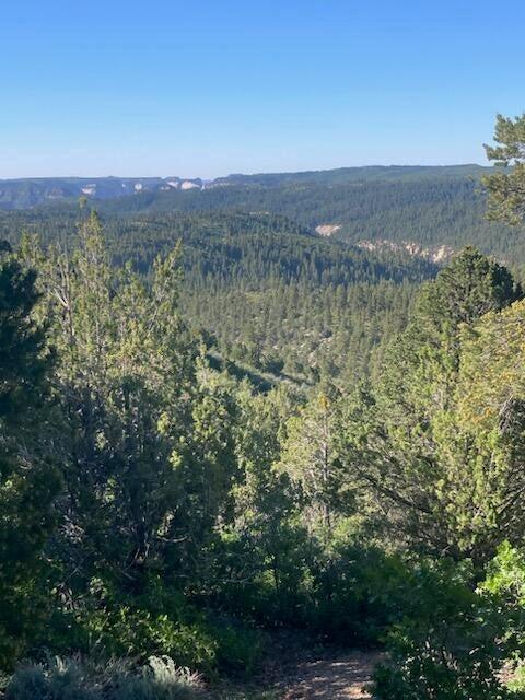ZION PANORAMA - Land