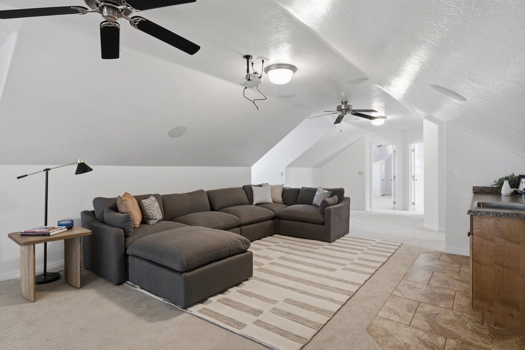 PAINTED HILLS RLINGTON HEIGHTS - Residential