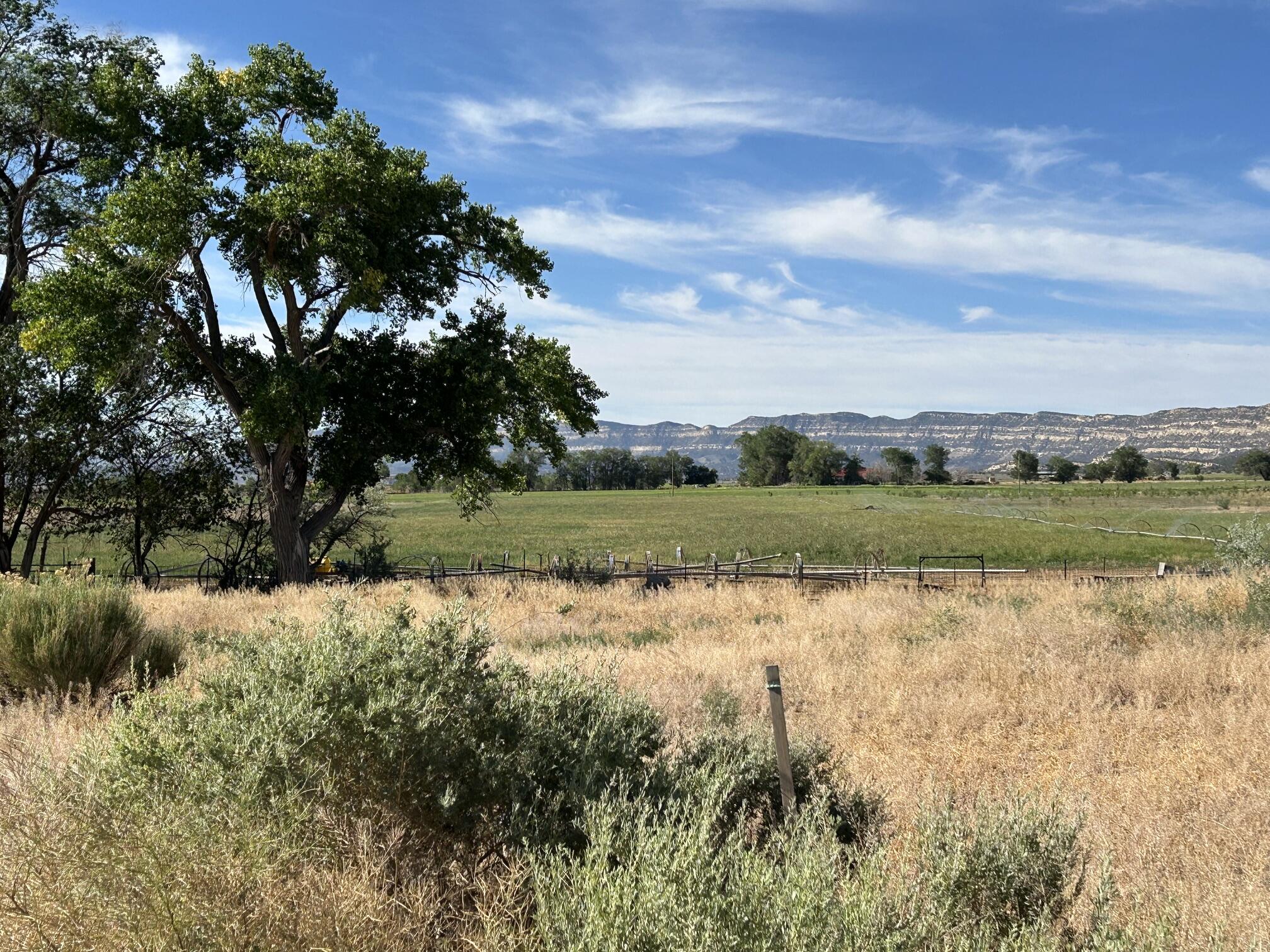 Country Lane Building Lot- Bring your own builder, NO CCR's. Great 1/2 Acre lot nestled on the south side of Escalante. Surrounded by open fields and beautiful views of the Boulder Gap to the north, with Straight Mountain, and Grand Staircase Escalante Nat'l Monument to the south. Water line in street, City water meter available with approved building plans.  Power stubbed, fiber nearby, and will require septic. Buyer to independently verify all information, including utility availability, connection requirements, costs, zoning, permits, access, and suitability for intended use. World-class recreation all around, perfect area for your dream home or recreational getaway.