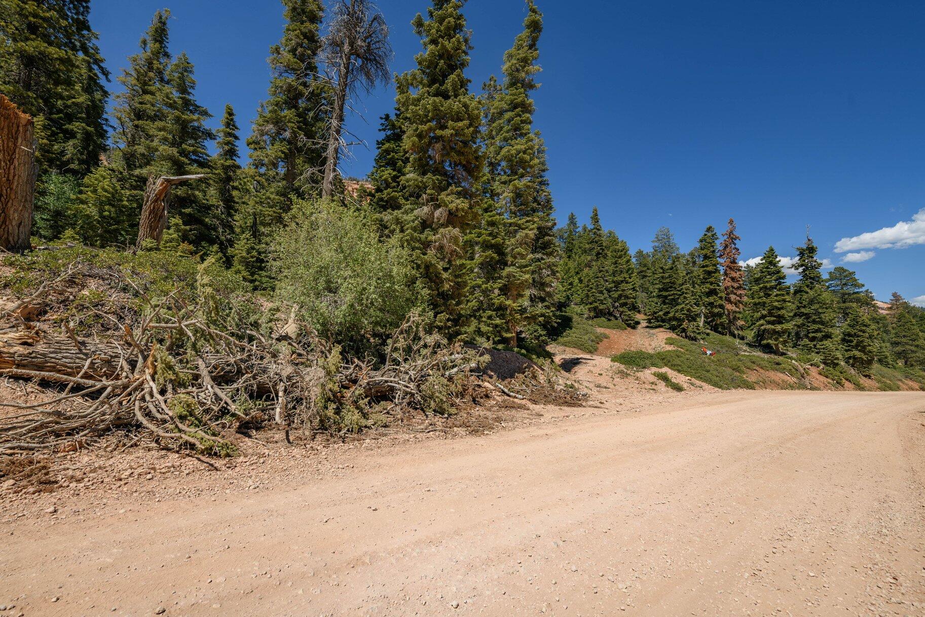 Escape to the mountains with this beautiful 1 acre lot in North Forks Estates, just minutes from Navajo Lake and all that Duck Creek Village offers. Surrounded by towering pines in crisp mountain air, this property offers a perfect setting to build your dream cabin or create a peaceful seasonal retreat. Enjoy beautiful long-range mountain vistas, views of the surrounding high-country landscape and convenient access to Cedar Breaks National Monument. Spend your days fishing, boating, hiking, ATV riding, or simply unwinding beneath a canopy of stars. With easy access to outdoor recreation and the tranquility of mountain living, this property is an opportunity to own your own piece of paradise.

All information herein is deemed reliable but is not guaranteed. Buyer is responsible to verify all listing information, including square feet/acreage, to buyers' own satisfaction.
