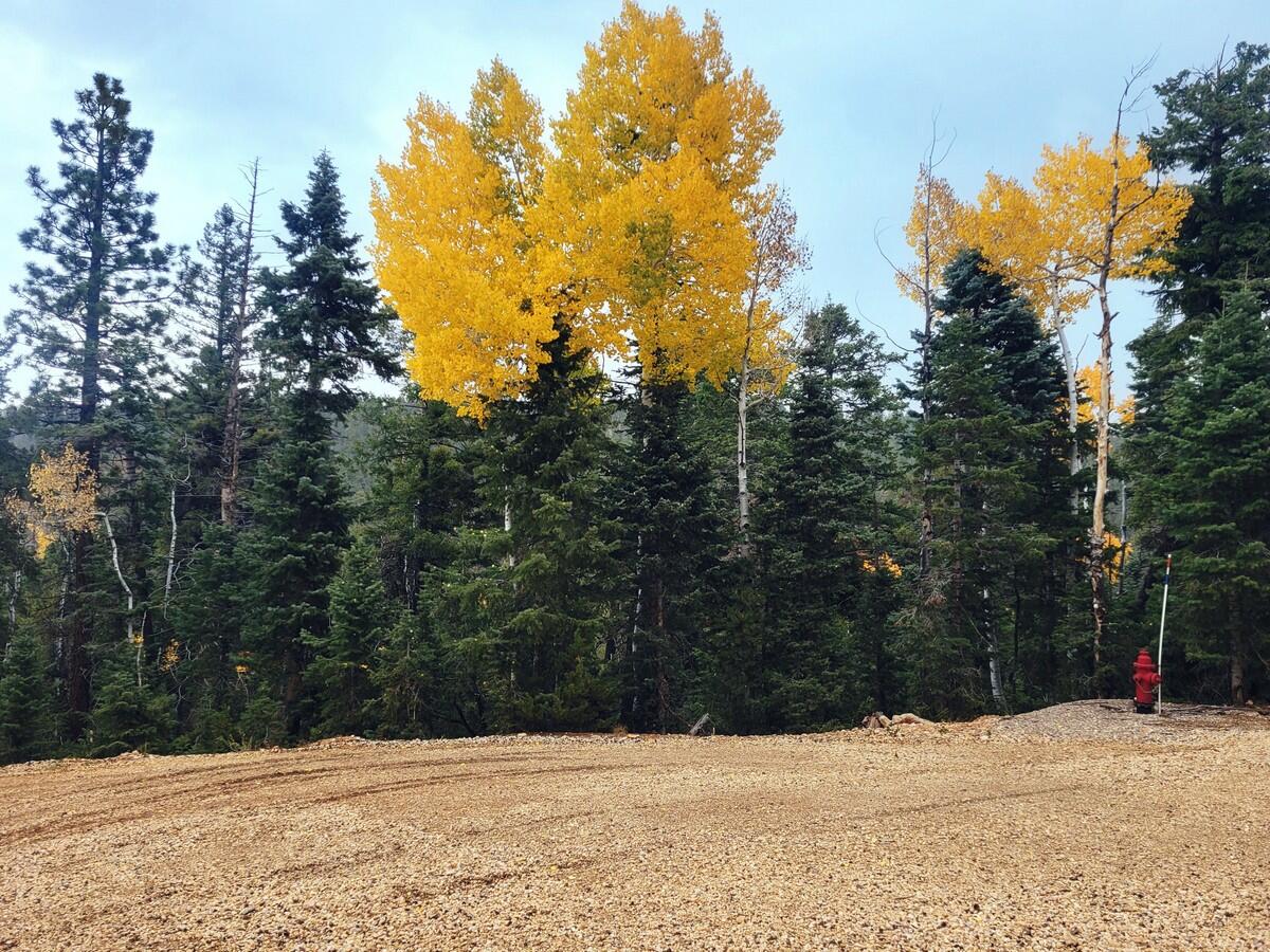 A Place To Start Your Mountain Adventure. The Zion View Mountain Estates subdivision is a great place to get back to the beauty of Mother Nature and this .63 acre lot provides space from your neighbor. Wooded with plenty of tall pine and aspen trees this sloped lot provides views into the Dixie National Forest. The lot borders the National Forest and has access to the year round water provided by the County Water system. There will be an impact fee to hook into the water. Power is in the subdivision but has not yet been ran down the cul-da-sac. Access by vehicle is mainly during the spring, summer and fall months with access during the winter months by snowmobile. Trailers are welcome during the summer months and the Duck Creek ATV Trail System leads to and from this area giving you access to the back roads of the forest. The subdivision has access to the Virgin River Rim Hiking Trail which gives you access to the Dixie National Forest. What a great place to build your very own campsite or dream cabin experience. Duck Creek Village is one of Utah's best-kept secrets and an all-season vacation destination. The neighboring lot is also available. Call for more information.