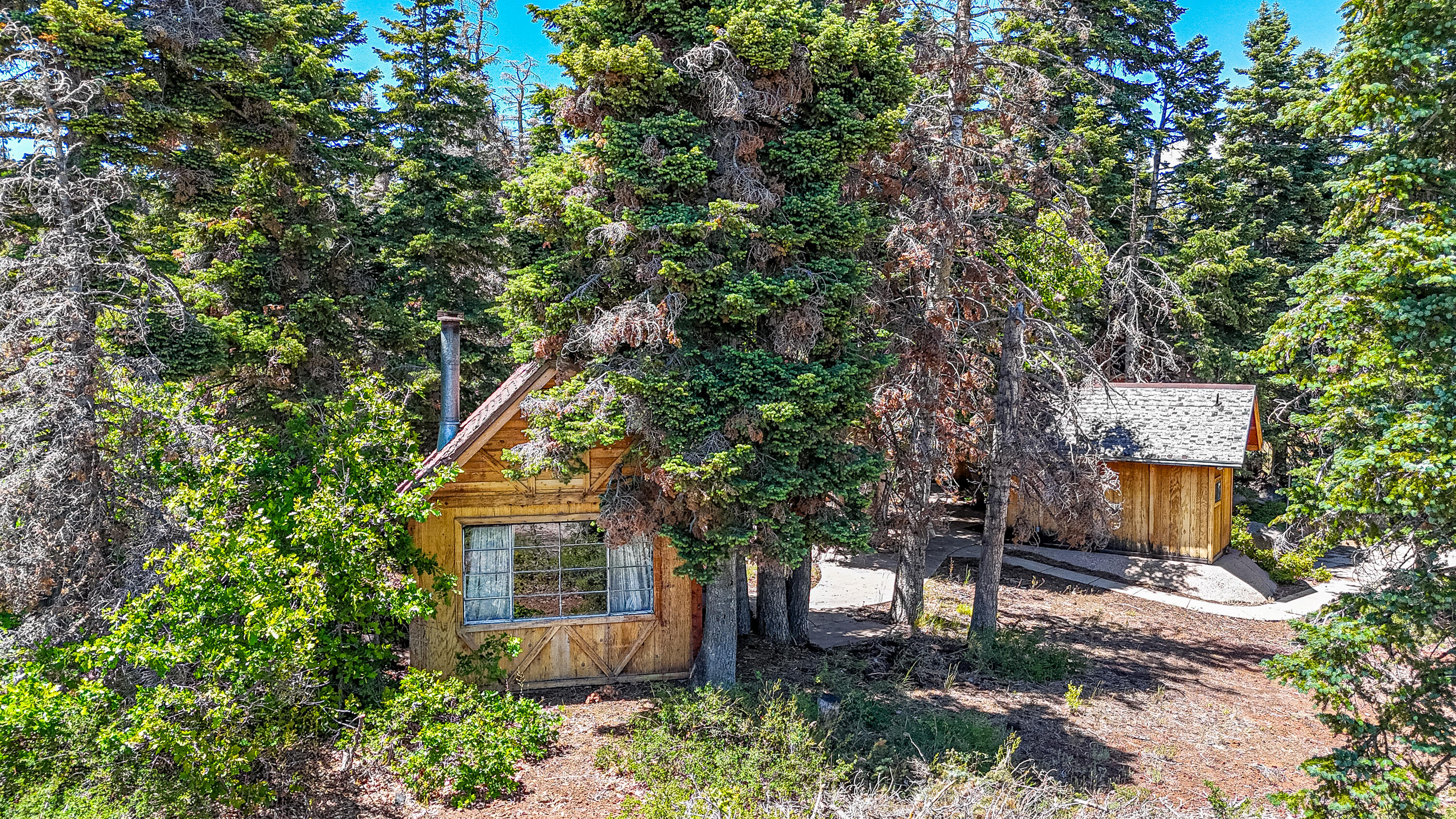 TWO LOTS included for sale with these cabins.  You get 1.02 acres total! One lot has 5 structures already built including electrical & plumbing with a Bunkhouse, main cabin, Bath House, Extra Cabin for more rooms & Generator room! Enjoy the scenery & so much beauty on this mountain located on the backside of Zion National Park! Cabins were built approx 1993 by the owner himself. This area is quiet & peaceful with cool temperatures and nice mountain living AND NO HOA!!  Cabins need a little TLC. Water certificate  available & stubbed at road. Generator powered electricity & will need to be updated! Bathroom has shower with water heater, powered by propane (needs new tank).  Second lot has the water source for this property included in this sale. There is also a third lot for sale adjacent to these two properties by same owner so you could own all 3 lots totaling 1.5 acres. TaxID# PA-3-21-HV. See listing #26-273898.