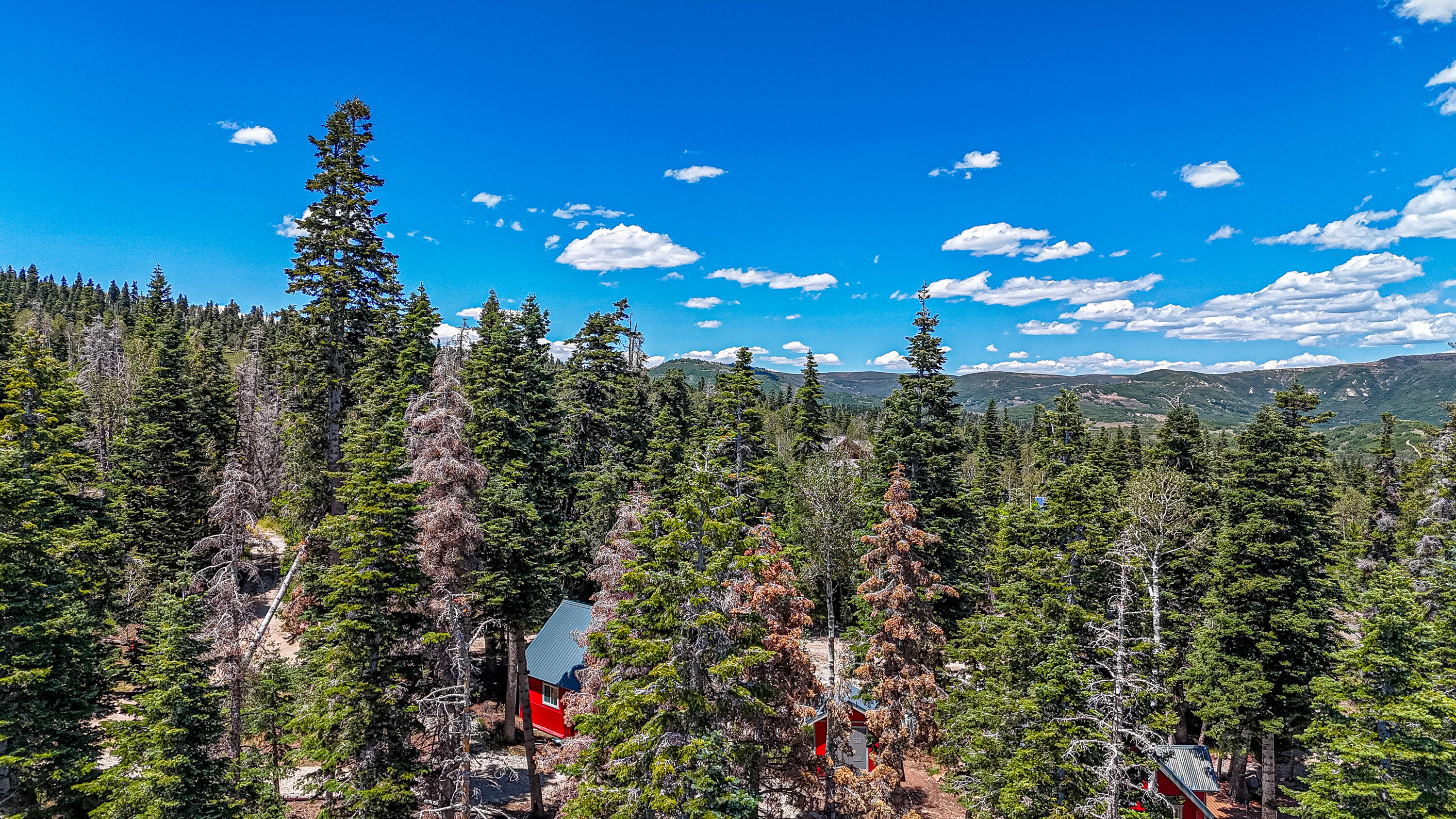 PEACEFUL ACRES UNIT - Residential