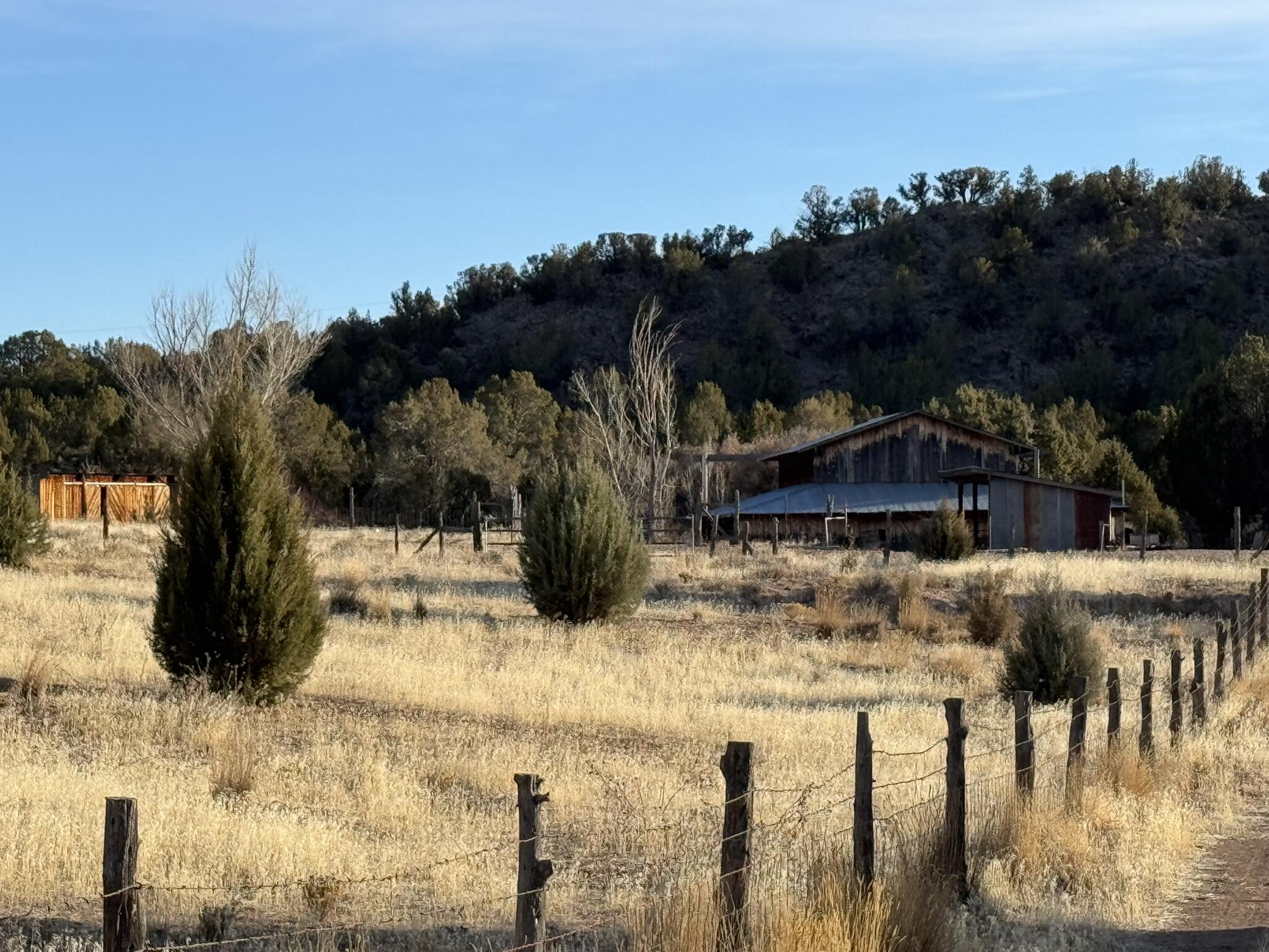 DOUG THORLEY - Residential