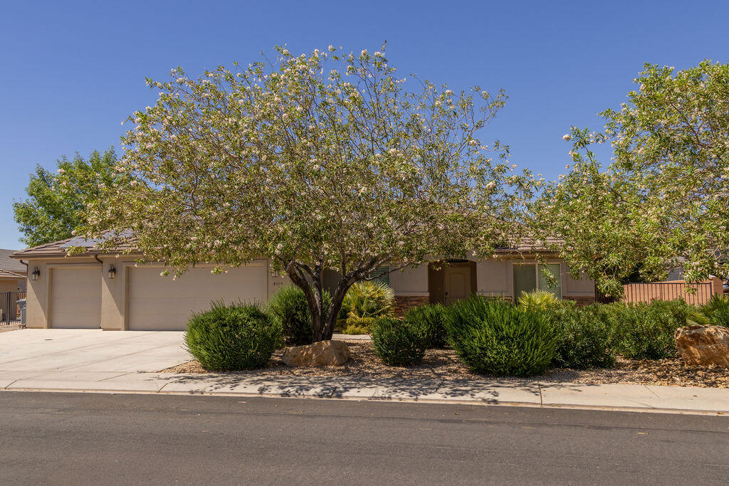DIXIE SPRINGS - Residential