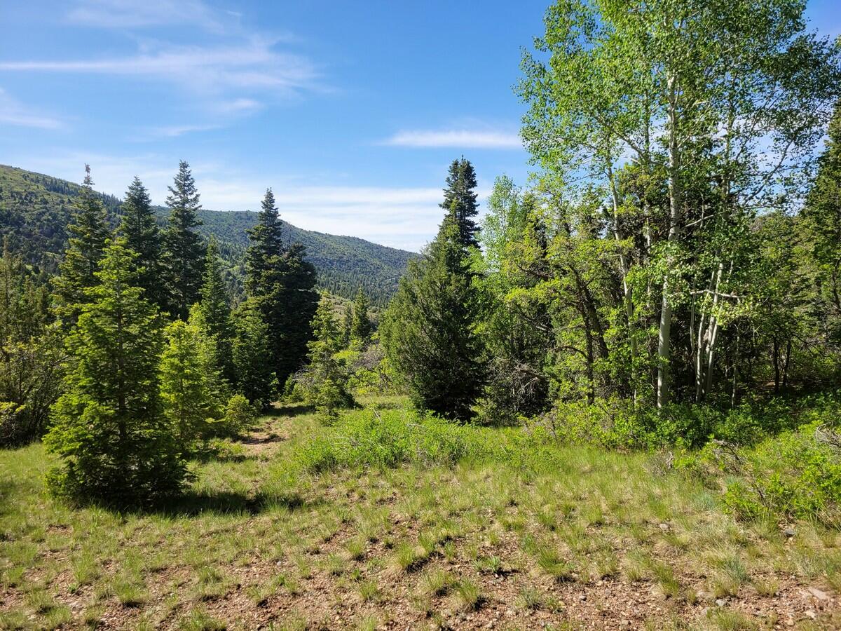Beautiful 10 acres of mountain recreational property wooded with pine and oak trees. The property includes 2 neighboring building lots together. 1 lot has been leveled off and the other lot is sloped for the perfect view of the mountains and surrounding canyon. There is a water system in the subdivision where seasonal water can be obtained. Owners use solar or a generator to produce their own power which eliminates a monthly power bill. Braffits Creek is located approx 6 miles from Interstate-15 up Summit Canyon which makes this a fun and easy access recreational area. Annual HOA fees are $280 per lot which helps maintain the developed spring and roads within the subdivision. Braffits Creek subdivision is a scenic drive from Brian Head Ski Resort on a county road through the National Forest and other private property. This subdivision, located in Southern Utah, is a short drive from Cedar Breaks National Monument, Bryce Canyon, Zion National Park, and many other scenic areas.