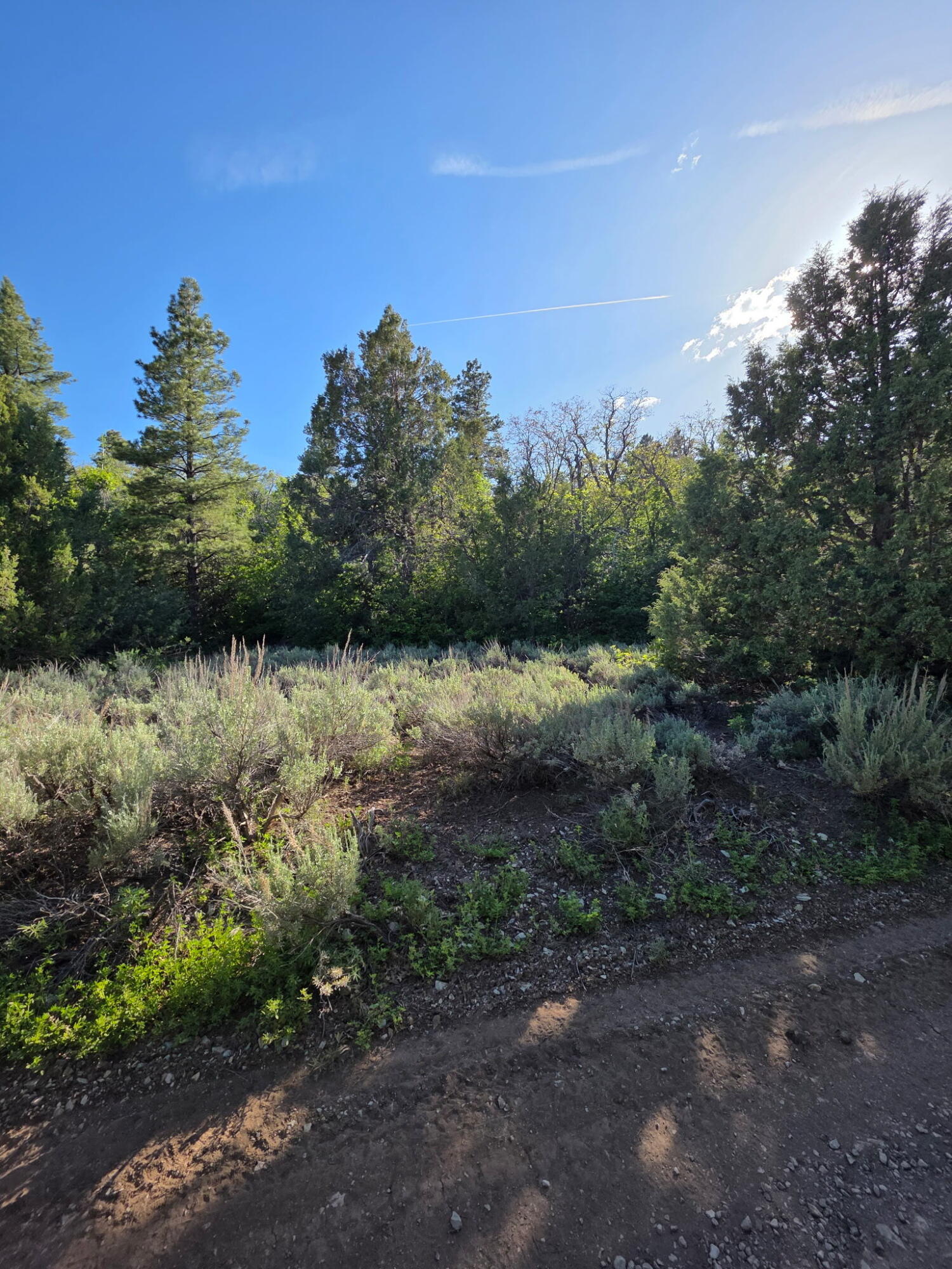 KOLOB PINES - Land