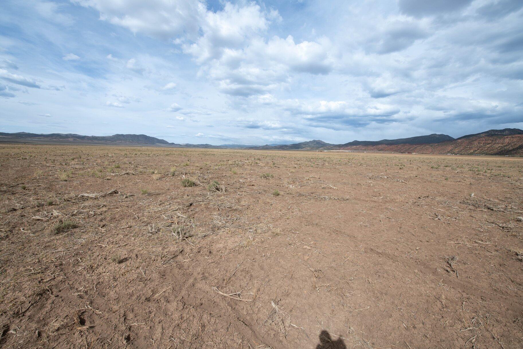 NOT AVAILABLE - Land
