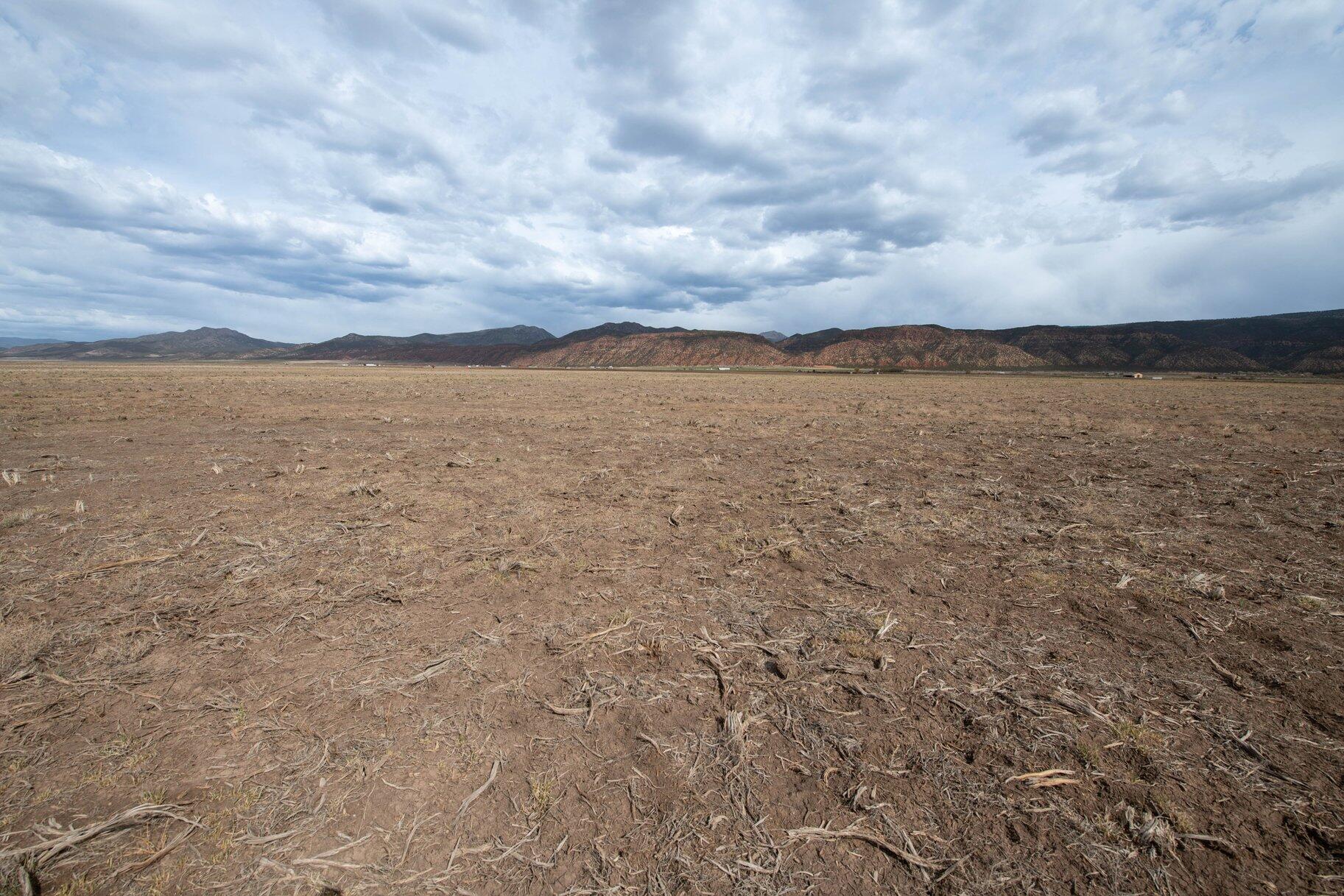 NOT AVAILABLE - Land