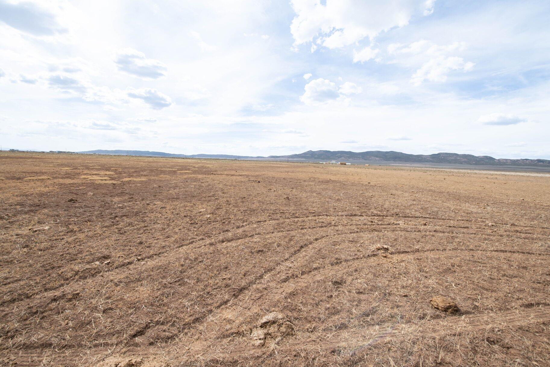 NOT AVAILABLE - Land