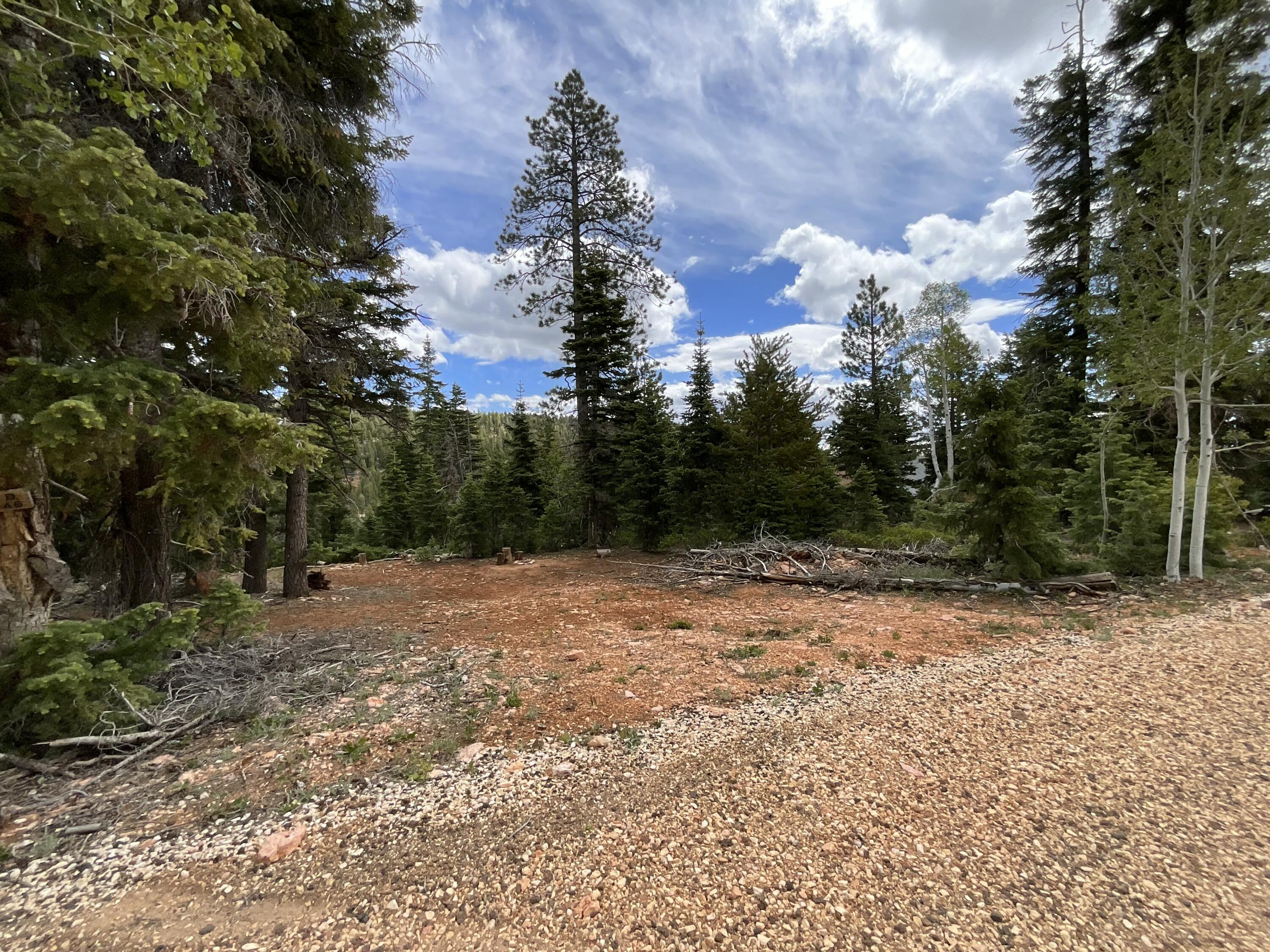 Located just 10 miles from the commercial district of Duck Creek Village. This .5 acre lot gives you the luxury of convenience while still being the mountain retreat you always dreamed of. Come make this beautiful mountain lot your dream and fall in love today!