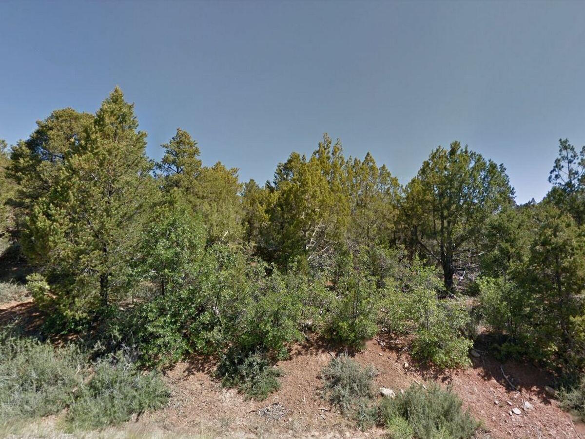 YOUR OWN PRIVATE CAMPSITE!! Located between Navajo Lake and Zion National Park this 5 ac parcel makes a great place to bring your trailer and set up camp. This Off the Grid lot borders the BLM and is located in a more remote area where power is generated by either solar or generator, water is hauled by the property owner, and access is mainly during the summer and fall months because during the winter months the roads are not maintained or plowed. Loaded with and pinyon pine trees it's great for that private get- away. Great for Investment. Those wanting to be away from the more populated areas will love this location just 20 miles from Navajo Lake. Recreation all around includes hunting, fishing, and ATV trails in the Dixie National Forest. It is a short drive to Zion National Park, Bryce Canyon National Park, Cedar Breaks National Monument, and the North Rim of the Grand Canyon. Call for more information.