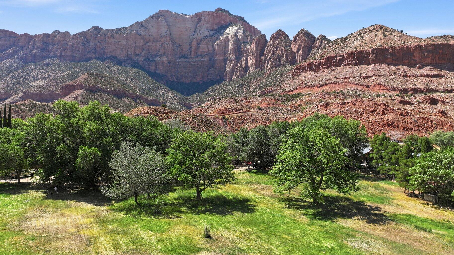 SPRINGDALE TOWNSITE - Land