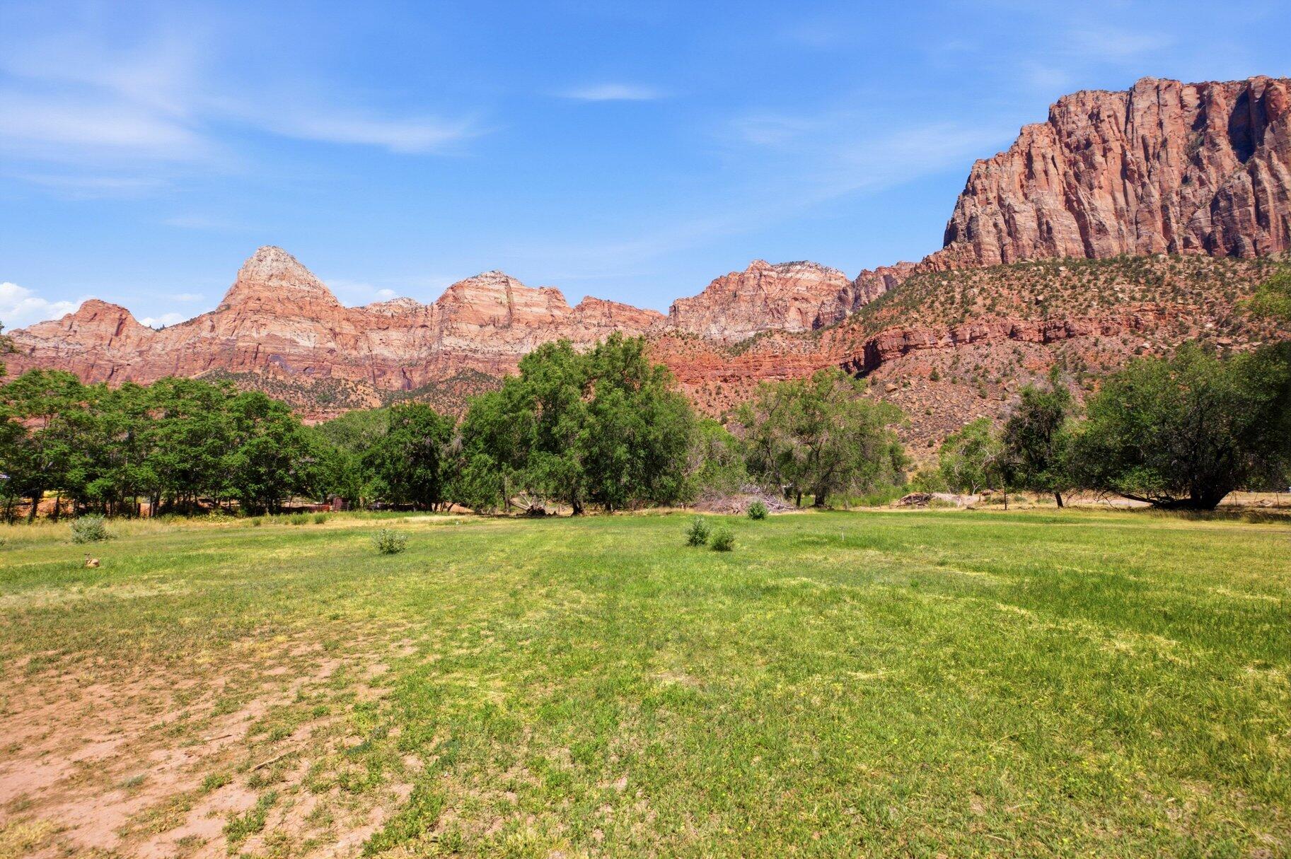 Highly desirable green acreage along the Virgin River across from Zion National Park! This 3.03 Ac parcel has coveted river frontage, mature trees, irrigated pasture and 4 separate parcels. Springdale ordinances allow this to be subdivided into 3/4 acre lots, use it for an estate home or an investment. You can't go wrong.
1/4 mile from the entrance to Zion National Park.