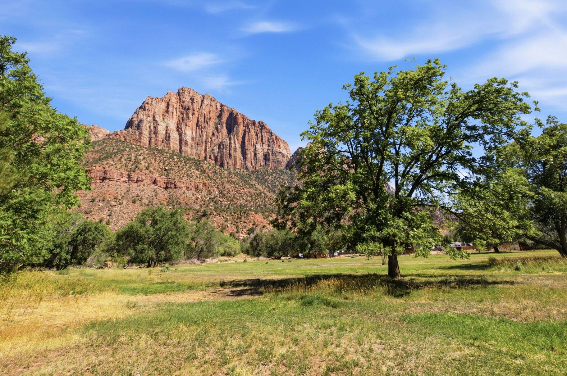 SPRINGDALE TOWNSITE - Land