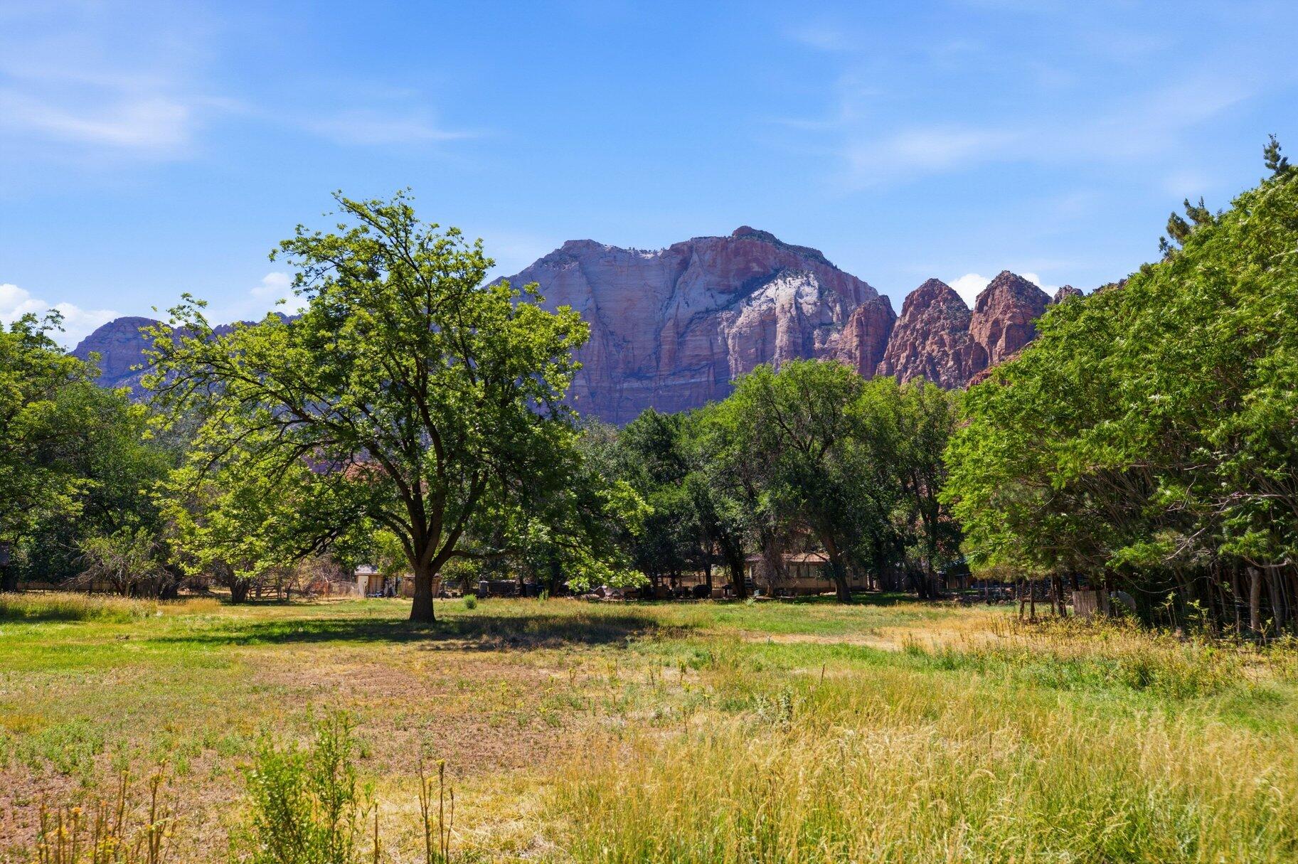 SPRINGDALE TOWNSITE - Land