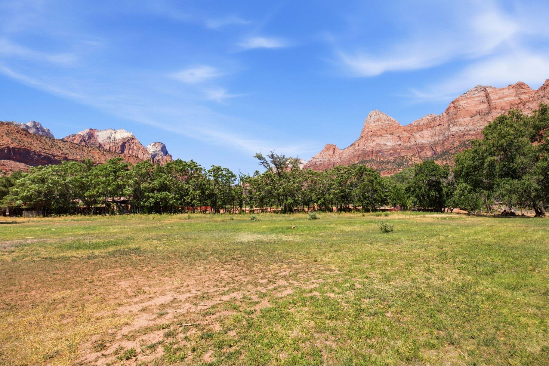SPRINGDALE TOWNSITE - Land