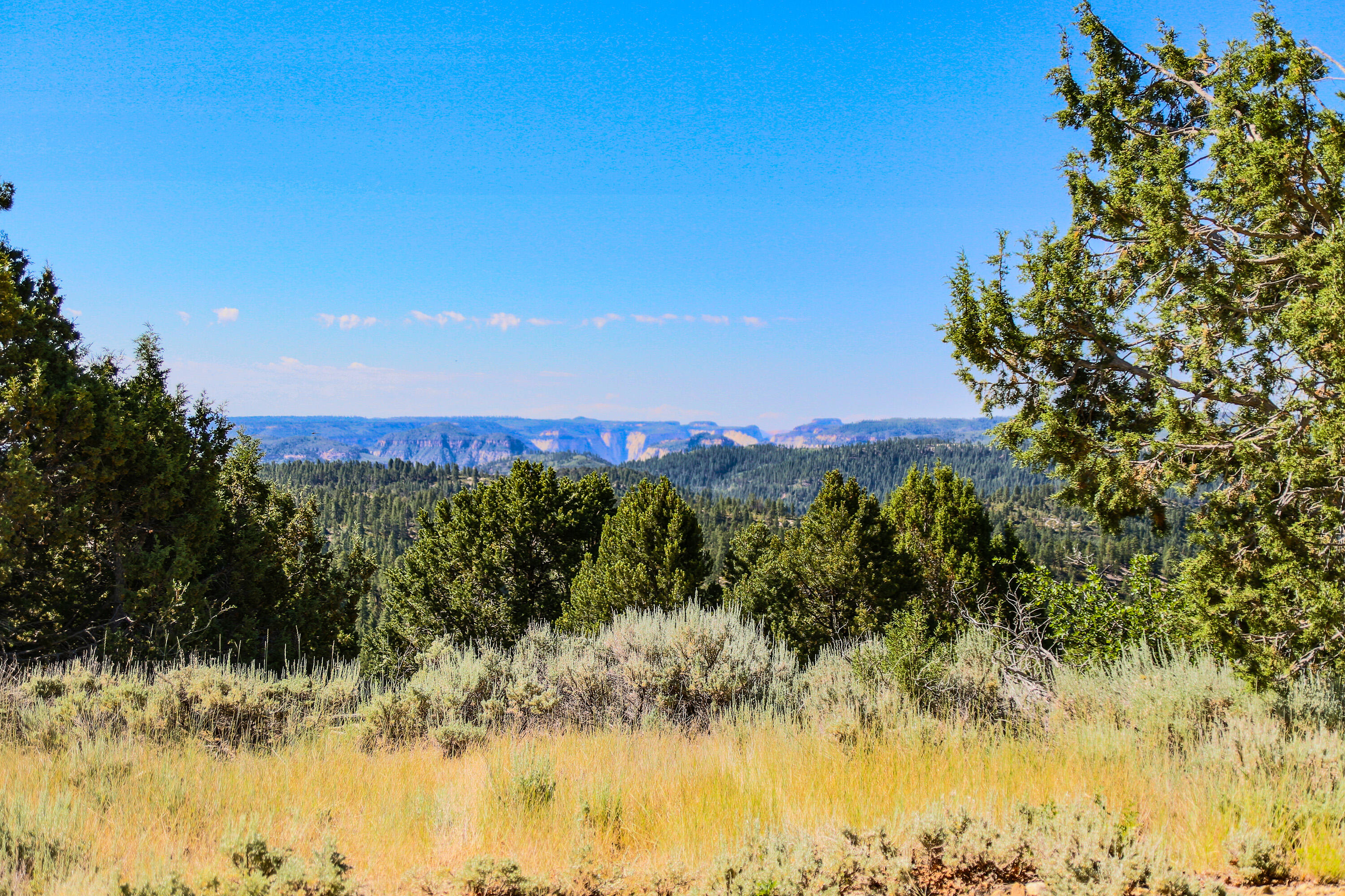 ZION PANORAMA - Land