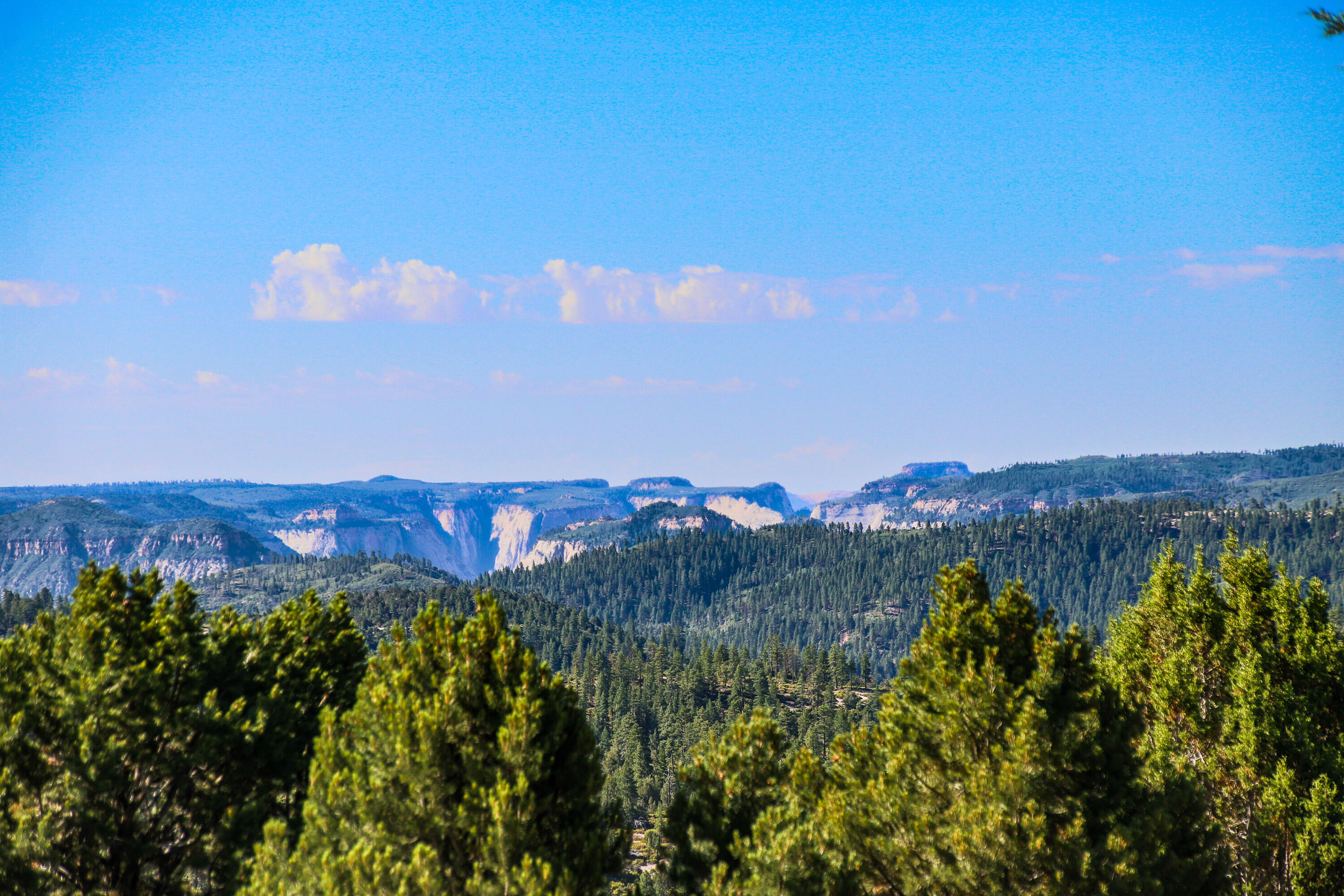 ZION PANORAMA - Land