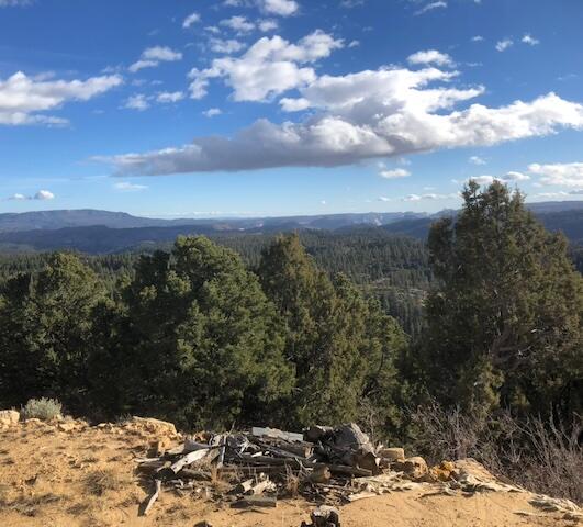 Enjoy mountain living in Zion Panorama. This 2.22-acre lot is located in a gated community near Kolob Reservoir and offers towering pines, privacy, and stunning views toward Zion National Park.

Community water is available through the HOA, and outdoor recreation is just minutes away, including fishing, hiking and ATV trails. Whether you're planning a seasonal cabin or a peaceful getaway, this property is the perfect basecamp for enjoying Southern Utah's mountains.