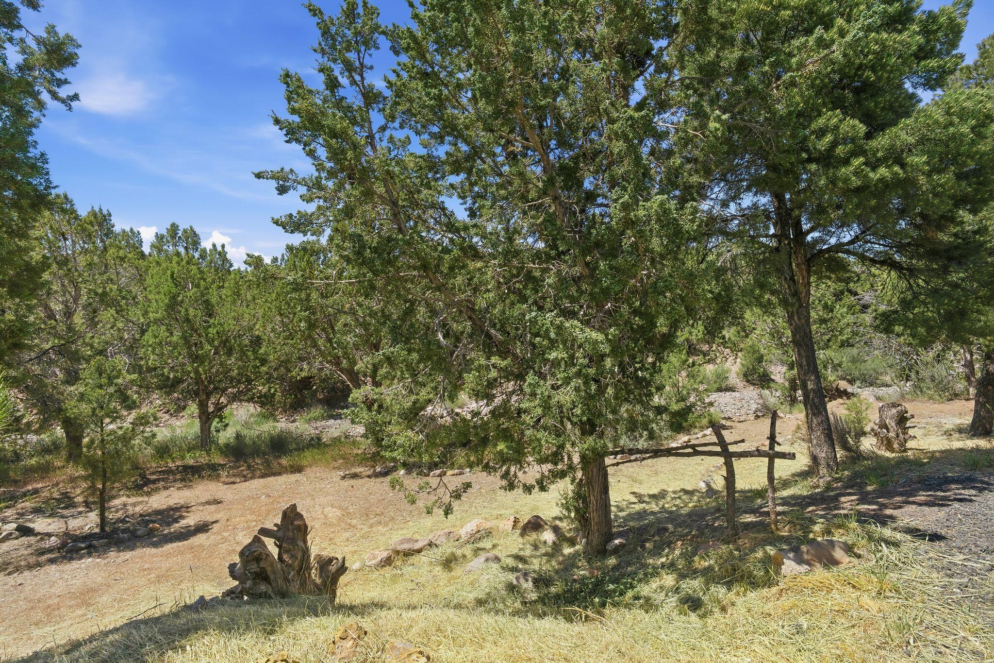 DIXIE DEER ESTATES - Residential