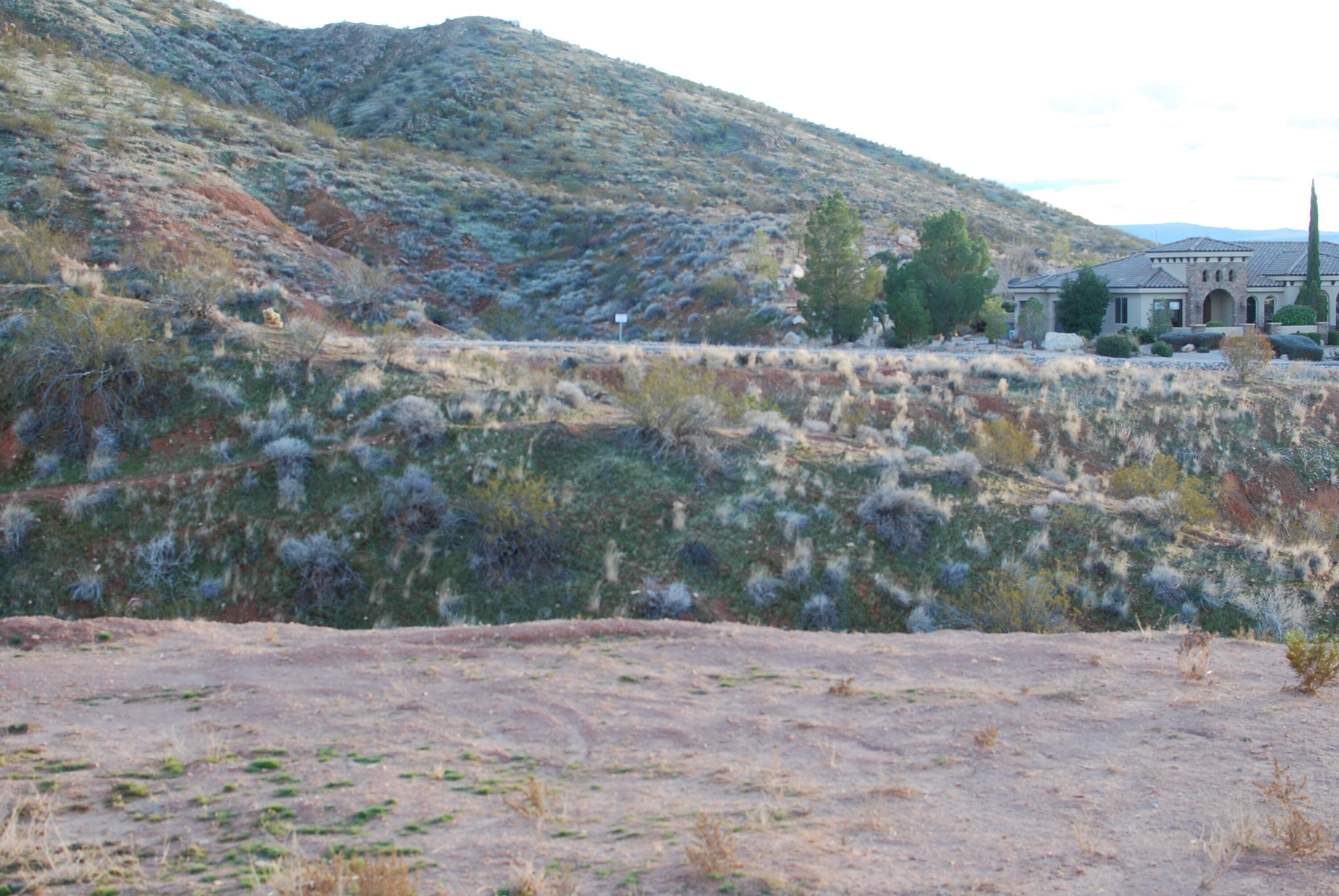 HIGH CHAPARRAL AT THE WASHINGTON BENCH - Land
