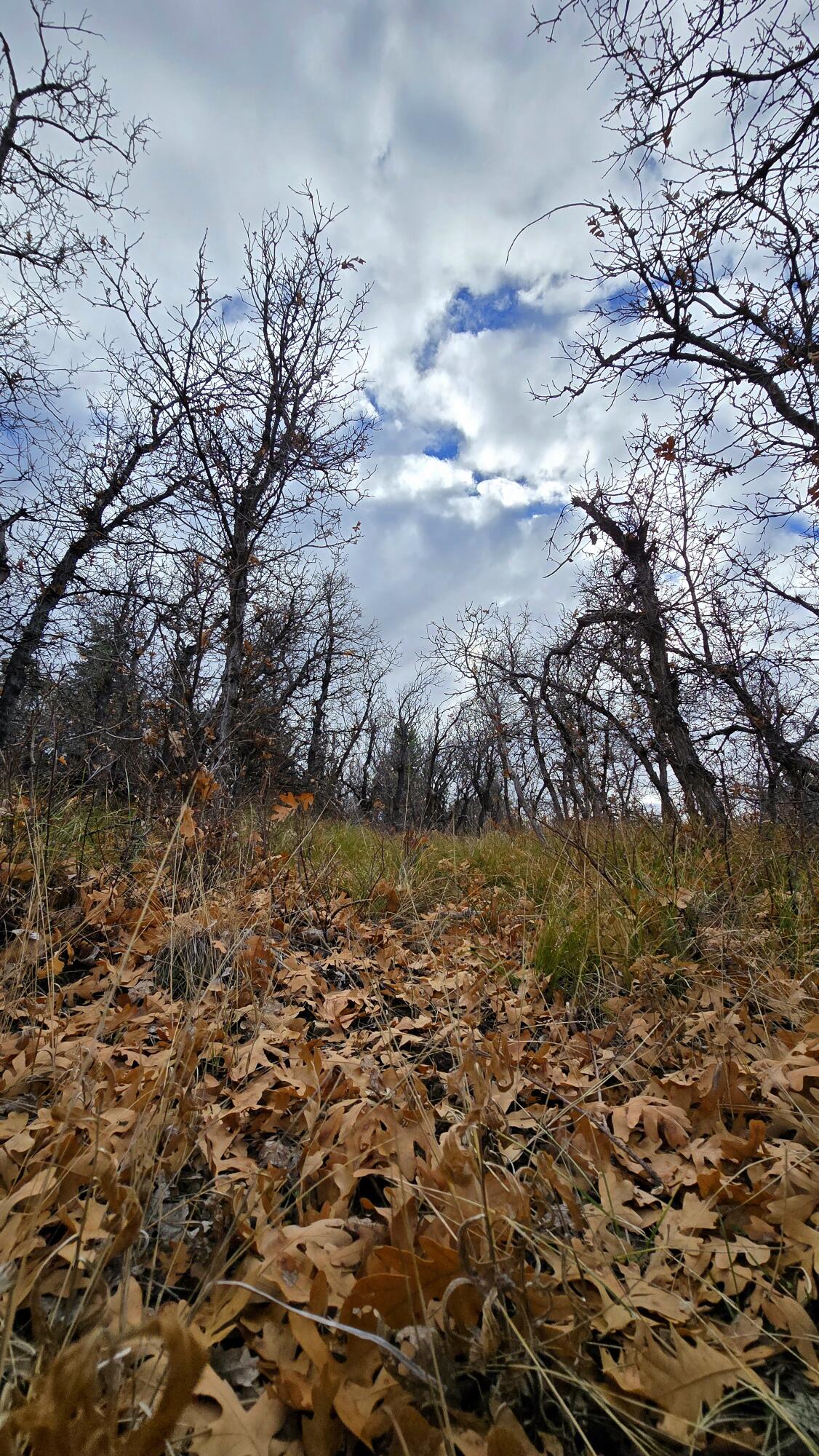 WHISPERING PINES SUB - Land