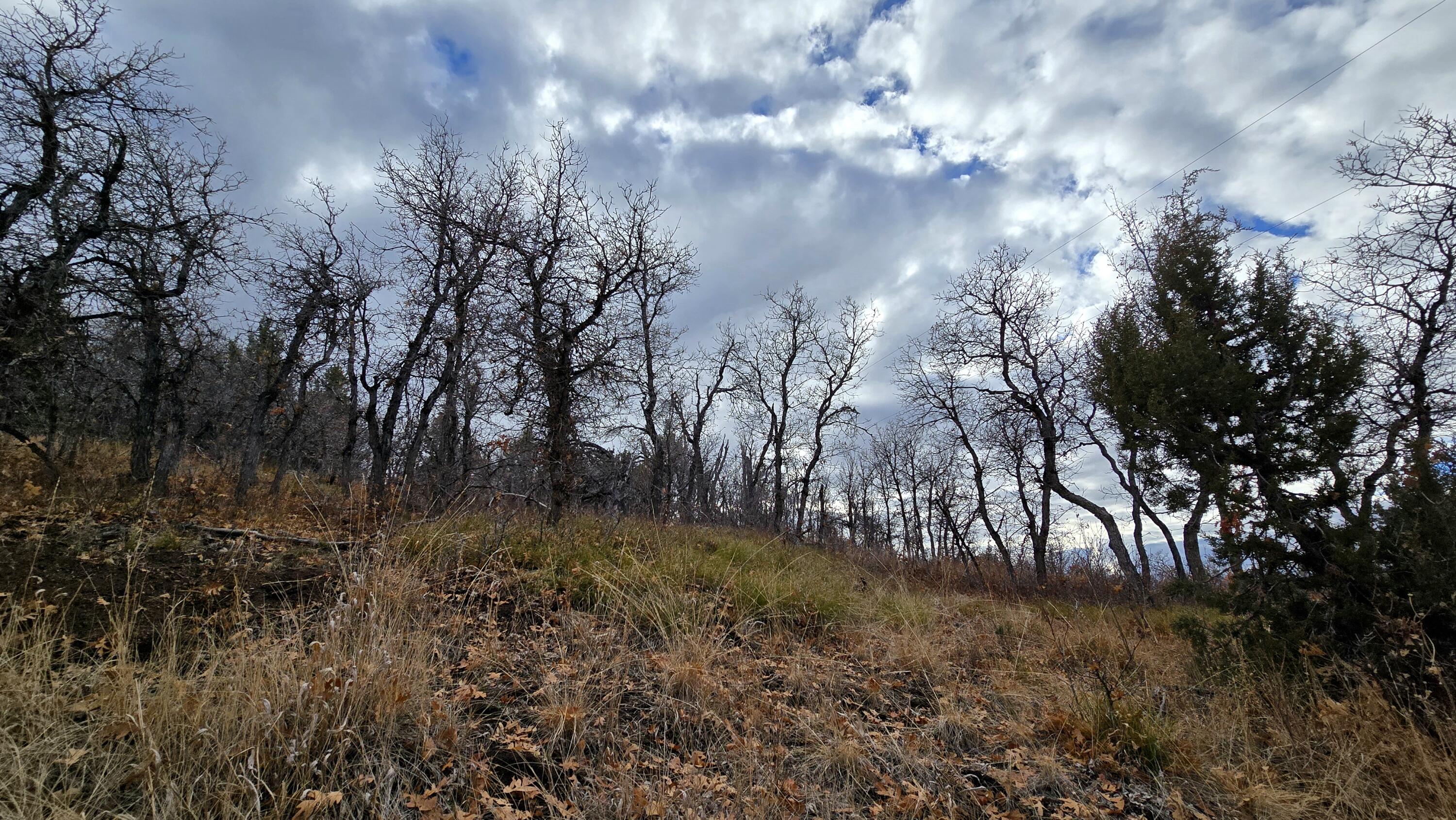 WHISPERING PINES SUB - Land