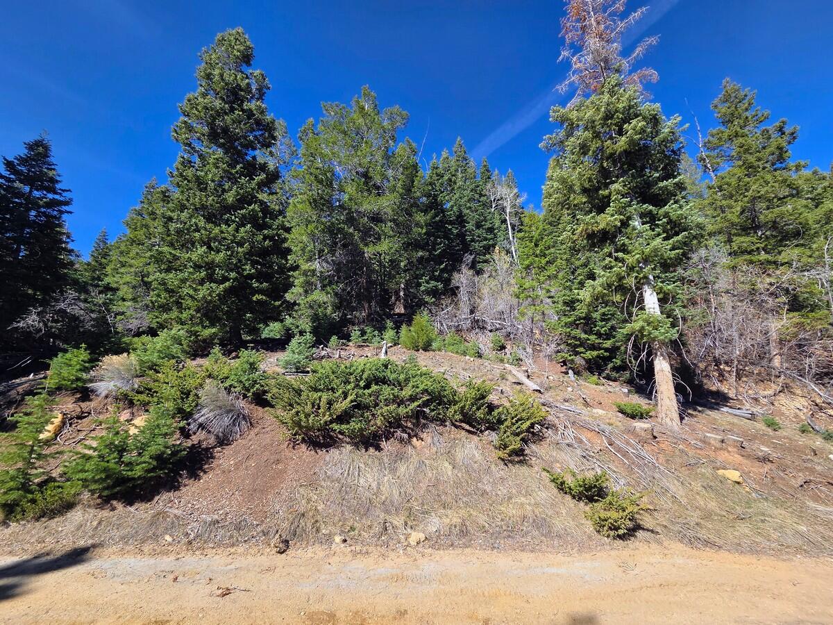 Great building lot in the Bryce Woodlands Estates Subdivision with views of the surrounding mountains. Wooded with mature tall pines and aspen trees makes this lot a great place to rest and relax in the mountains. This lot is sloped and ready to build your dream cabin or use for camping. If you are looking for a place to get away from the noise, this is it. Power is in the subdivision and could be brought to the property. Water is hauled in by the property owner and stored in a water tank at the property. Septic systems/tanks are used in this area. Access to this lot during the winter months is by snowmobile. Bryce Woodlands Estates is a small hidden subdivision located on the back side of Bryce Canyon. You will find it tucked away under some gorgeous rock formations just off scenic Highway 89. Some of Utah's finest wildlife can be spotted here such as mule deer, turkeys, and elk. Come see for yourself the beauty this property has to offer.