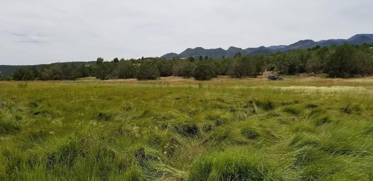 BLACKRIDGE RANCHES - Land